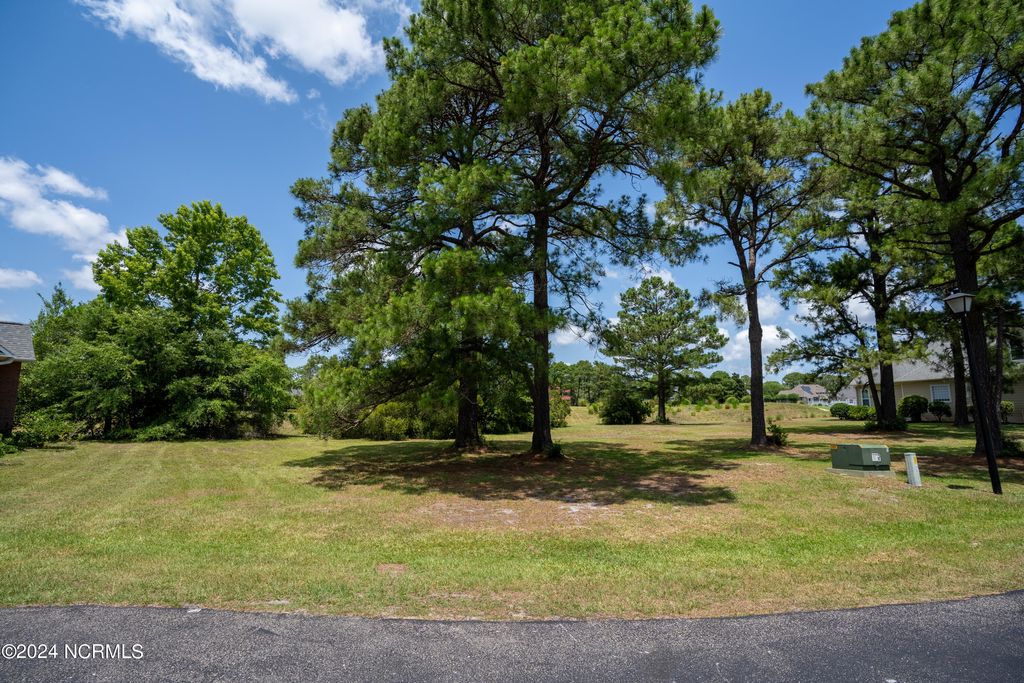 Photo of 4222 W Tanager Court SE, Southport, NC 28461 (MLS # 100460778)