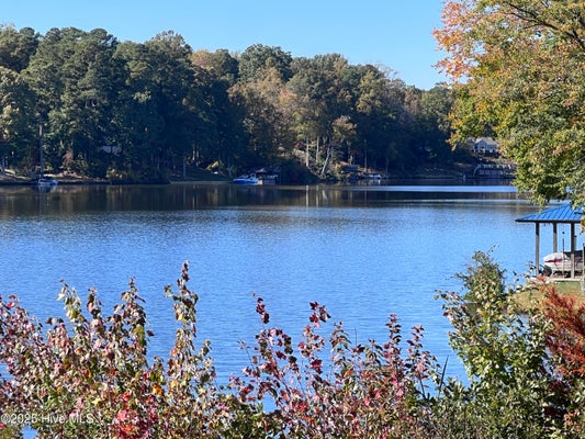 115 COCHISE DR, LOUISBURG, NC 27549 - Image 2ff98e4dc58f471f99552763fc5a02c7/3786563237