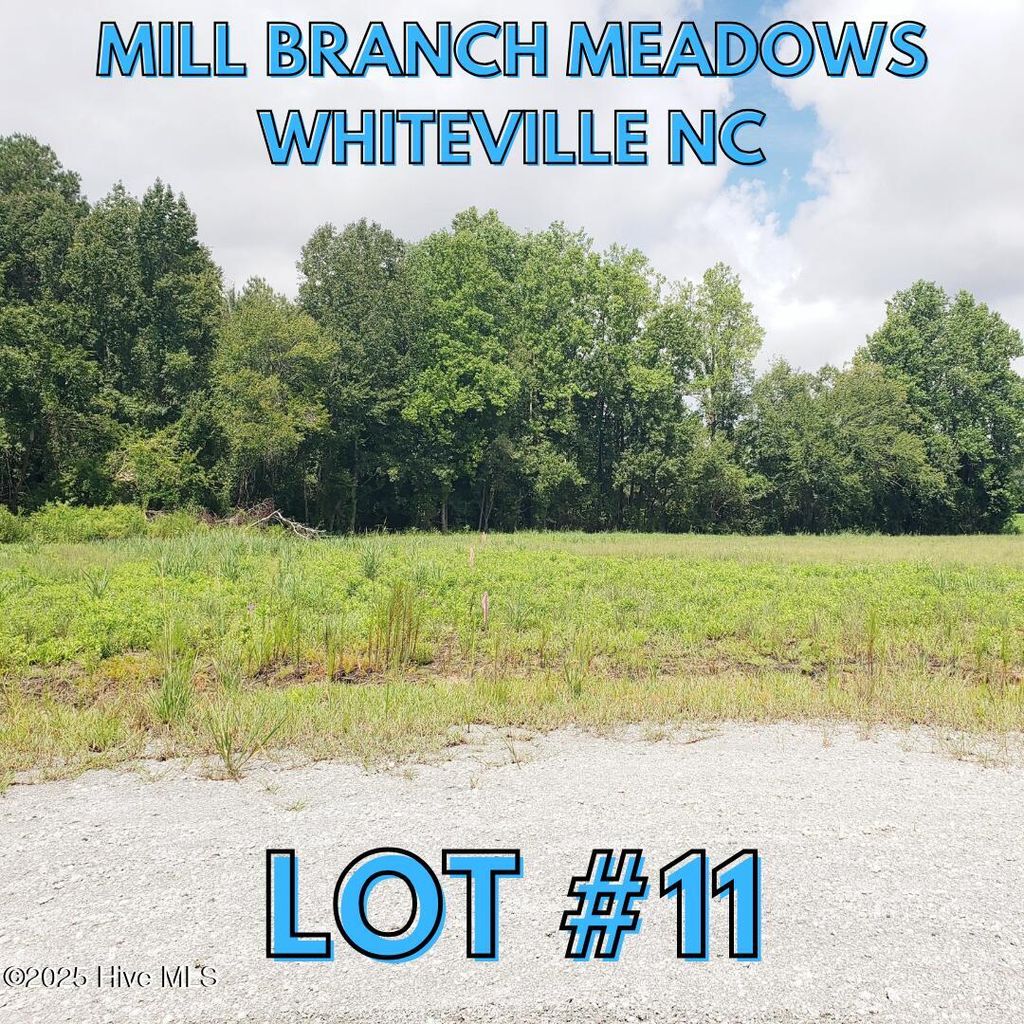 Photo of 112 Mill Branch Drive, Whiteville, NC 28472 (MLS # 100562146)