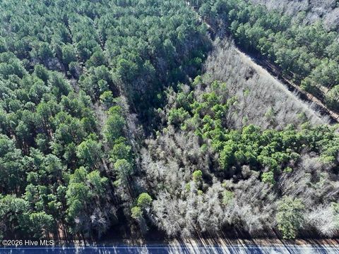 Vacant Land For Sale - TBD Nc Hwy 130 Road<br/> Fairmont, NC 28340