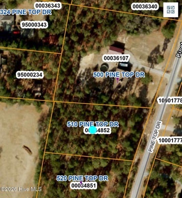 510 PINE TOP DR, CARTHAGE, NC 28327 - Image 301769f0bd3eebb31bbbad484b47ff6f/1703790030