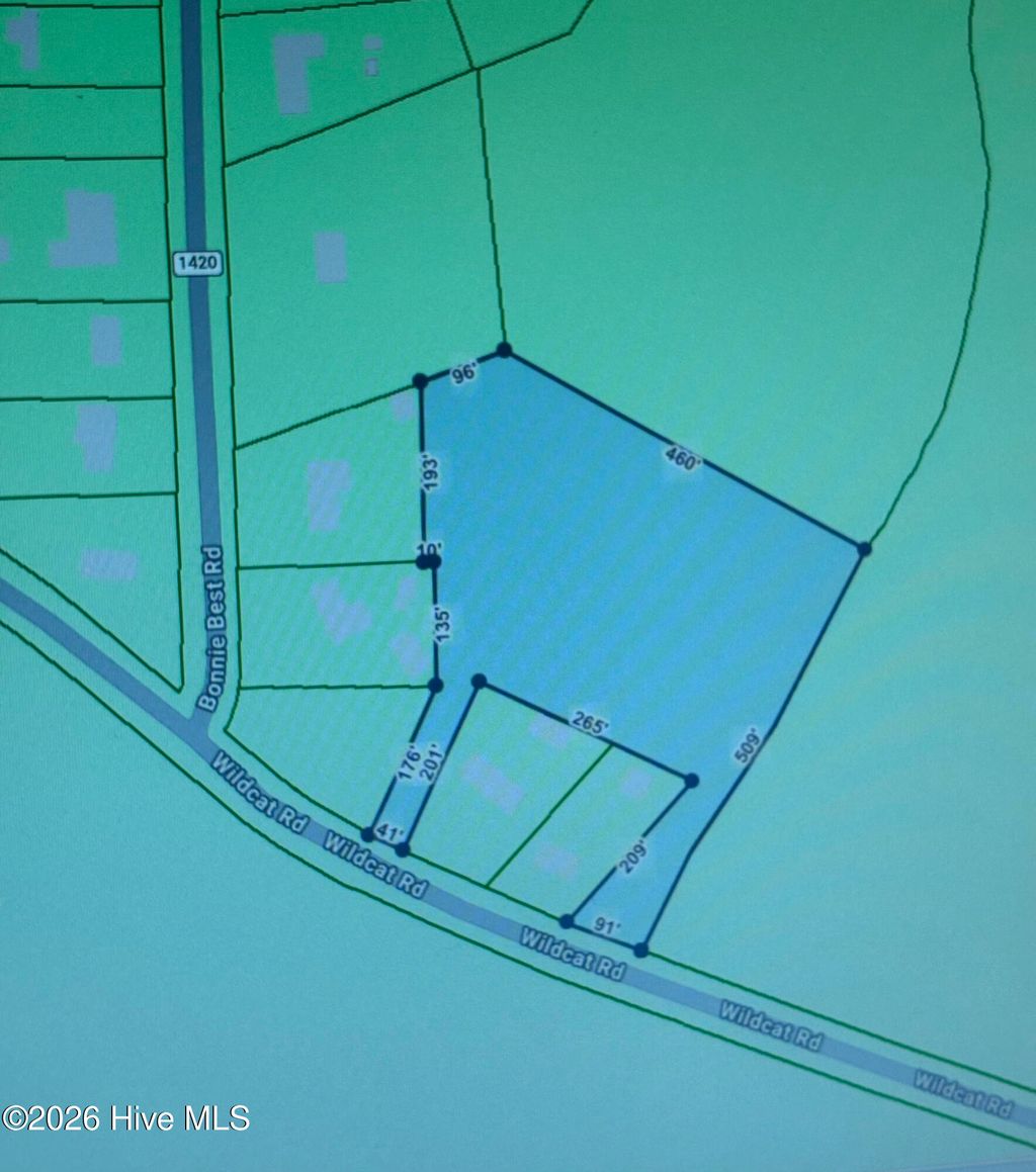 Photo of 0 Wild Cat Road, Williamston, NC 27892 (MLS # 100566554)