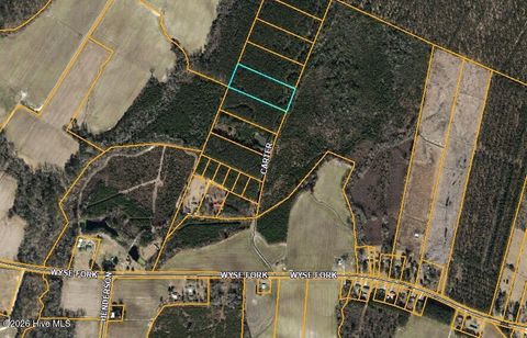 Lot 5 Off Sr 1002 Trenton NC 28585
