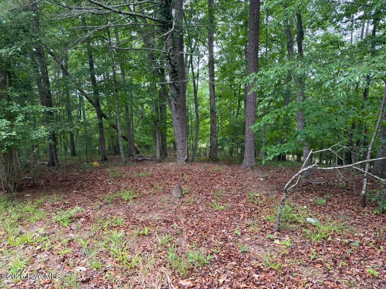 274 Snow Hill Ridge Road