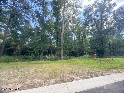 Vacant Land For Sale - 8048 Fair Lakes Way<br/> Leland, NC 28451