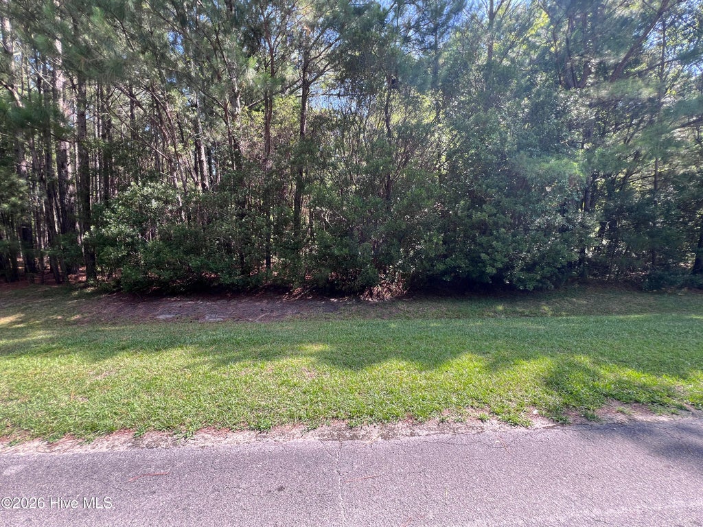 Photo of 42 Windy Point, Belhaven, NC 27810 (MLS # 100589662)
