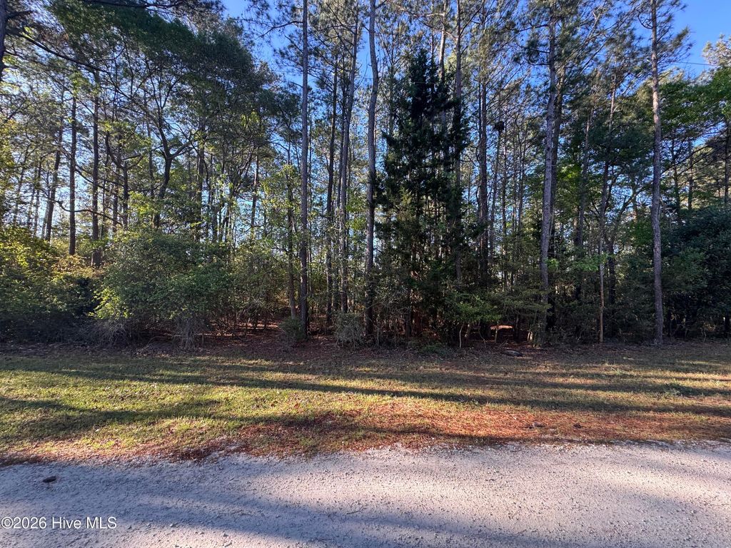 Photo of 42 Pond View Circle E, Hampstead, NC 28443 (MLS # 100566449)