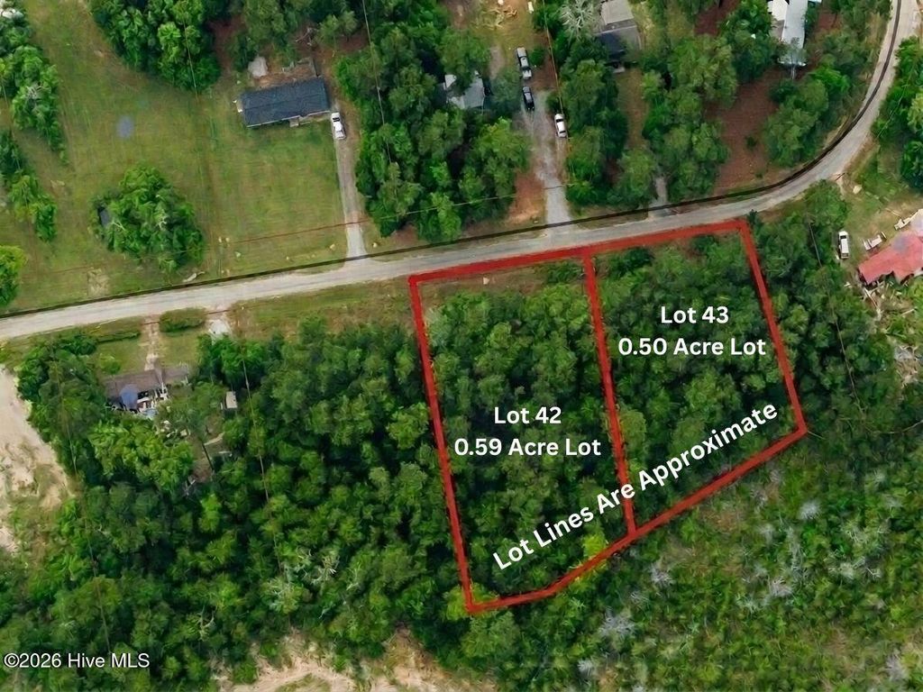 Photo of 42 Pond View Circle E, Hampstead, NC 28443 (MLS # 100566449)