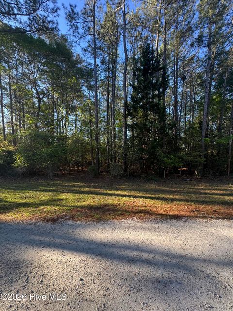 Tiny photo for 42 Pond View Circle E, Hampstead, NC 28443 (MLS # 100566449)