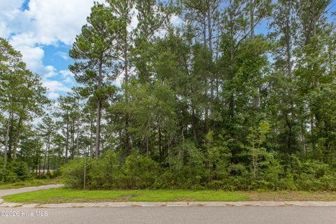 Tiny photo for 889 Pantego Boulevard SE, Bolivia, NC 28422 (MLS # 100600884)