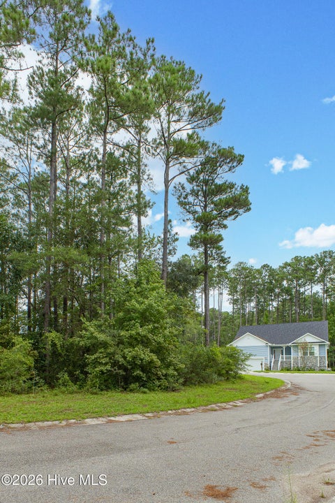 Tiny photo for 889 Pantego Boulevard SE, Bolivia, NC 28422 (MLS # 100600884)