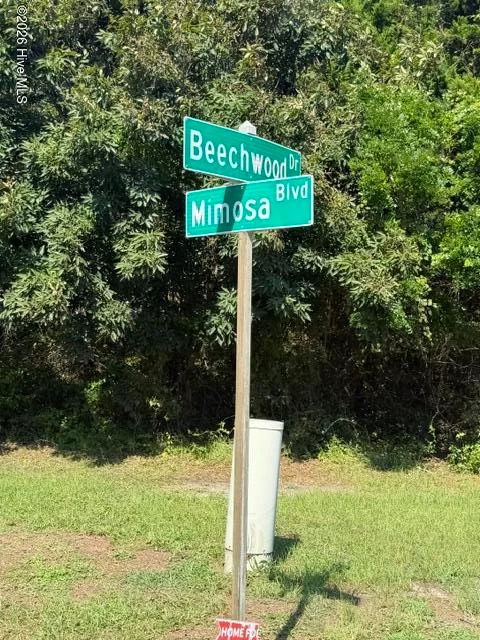 106 Mimosa Boulevard