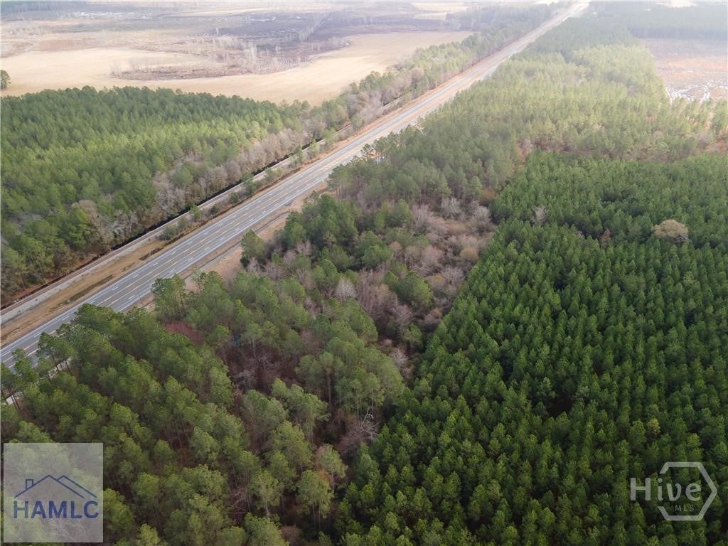 Photo of 10 HWY 341 / Odum Highway, Odum, GA 31555 (MLS # SA365954)