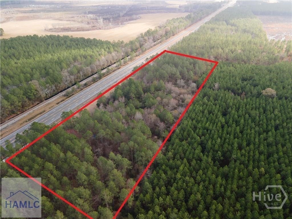 Photo of 10 HWY 341 / Odum Highway, Odum, GA 31555 (MLS # SA365954)