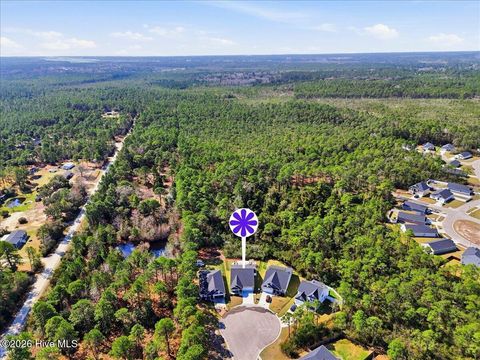 Tiny photo for 1632 E New Carraway Place SE, Bolivia, NC 28422 (MLS # 100560173)