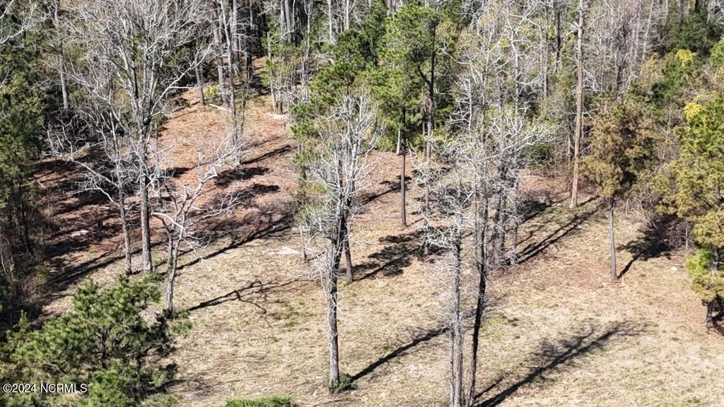 Photo of 107 Pin Oak Court, Beaufort, NC 28516 (MLS # 100436487)