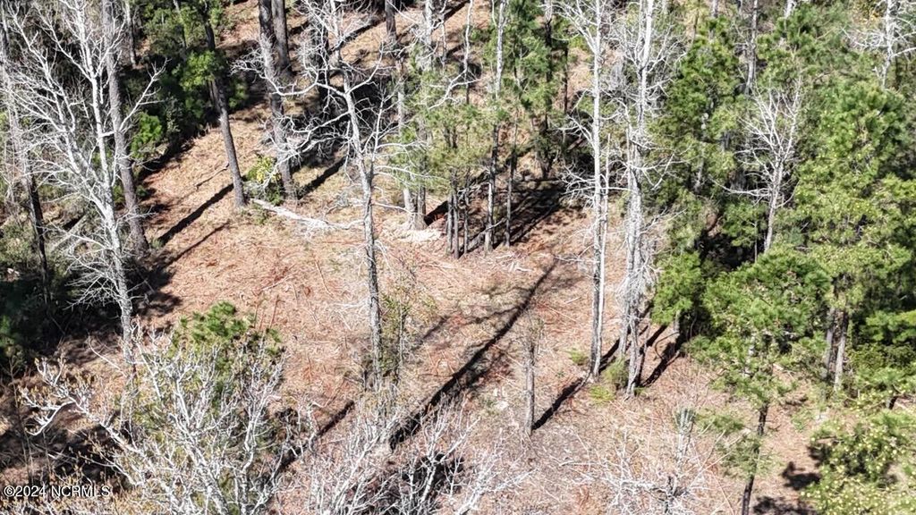 Photo of 107 Pin Oak Court, Beaufort, NC 28516 (MLS # 100436487)