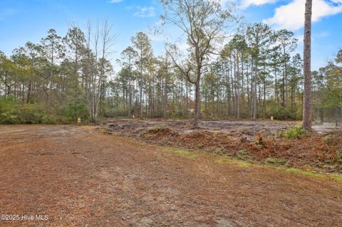 Tiny photo for 10 Dorado Lane, Boiling Spring Lakes, NC 28461 (MLS # 100544294)