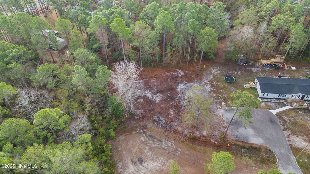 Photo of 10 Dorado Lane, Boiling Spring Lakes, NC 28461 (MLS # 100544294)