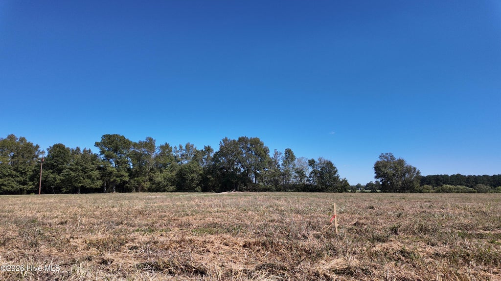 Photo of 7 Nc 41 Highway, Wallace, NC 28466 (MLS # 100608812)
