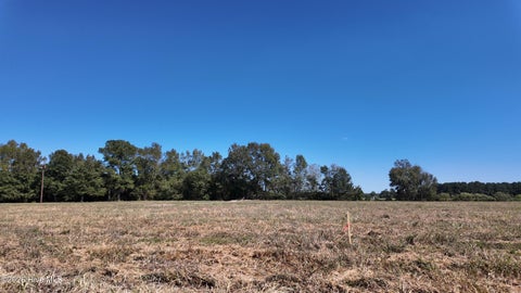 Vacant Land For Sale - 7 Nc 41 Highway<br/> Wallace, NC 28466