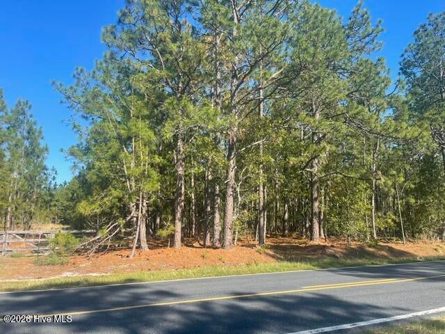 1035 Flowers Road, Jackson Springs, NC, 27281