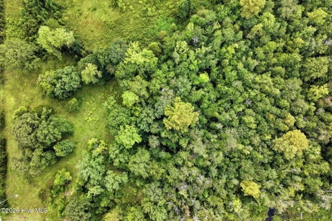 Tiny photo for 0 Nc 210 Hwy W, Hampstead, NC 28443 (MLS # 100602782)