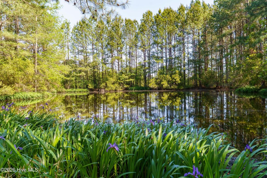 Photo of 235 Griffin Lake Road, Vass, NC 28394 (MLS # 100574932)