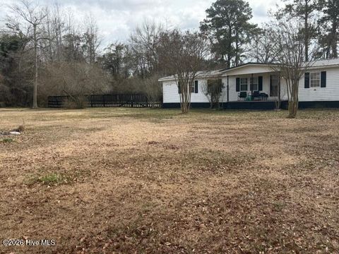 Tiny photo for 821 Luther Banks Road, Beulaville, NC 28518 (MLS # 100556184)