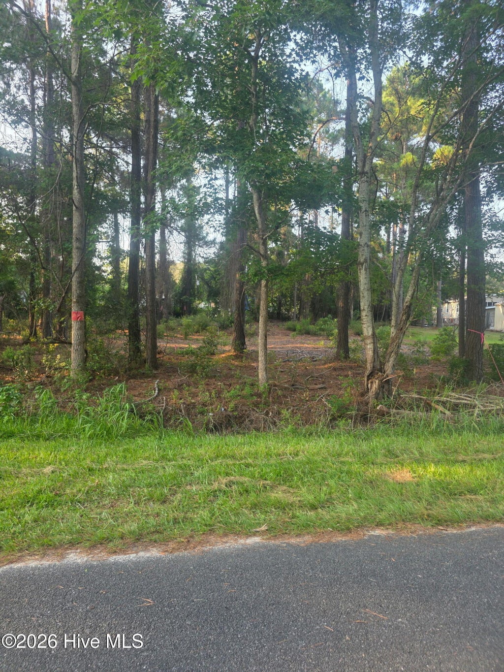Photo of 2945 James Street SW, Supply, NC 28462 (MLS # 100611701)