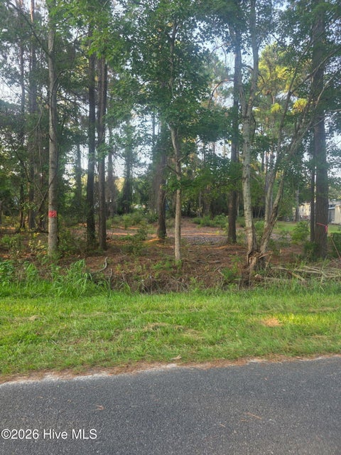 Photo of 2945 James Street SW, Supply, NC 28462 (MLS # 100611701)