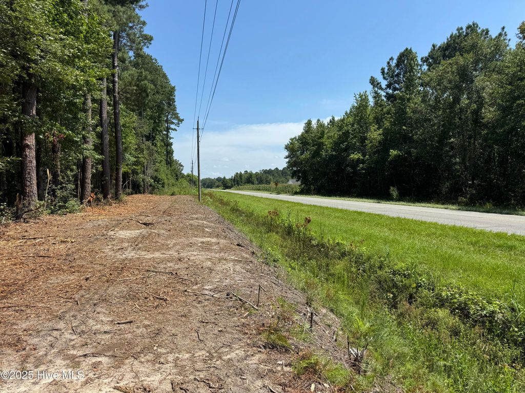 Photo of 5 Near 4102 Swamp Fox (Lot 5) Highway W, Tabor City, NC 28463 (MLS # 100575566)