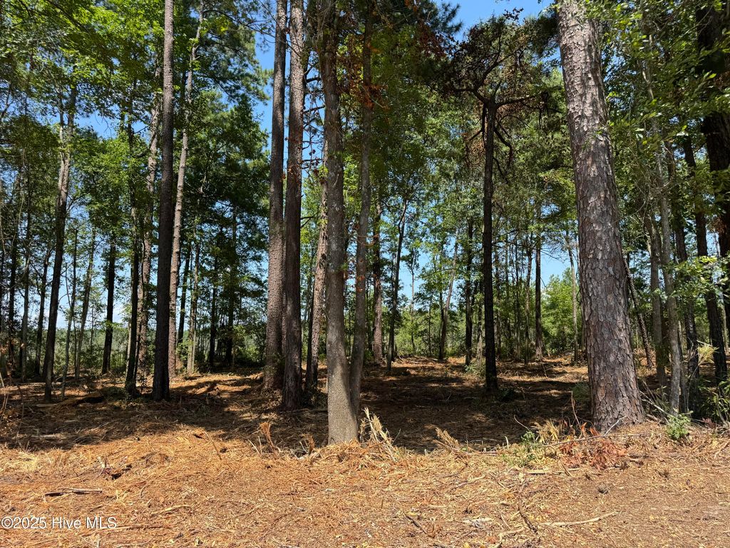 Photo of 5 Near 4102 Swamp Fox (Lot 5) Highway W, Tabor City, NC 28463 (MLS # 100575566)