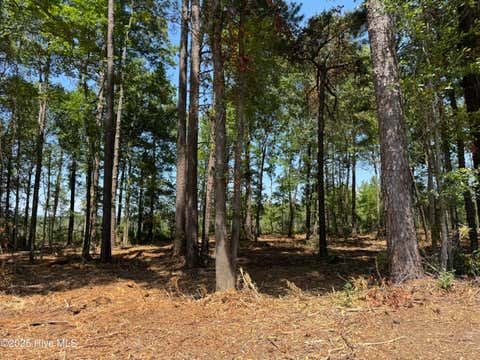 Vacant Land For Sale - LOT 5 Near 4102 Swamp Fox (lot 5) Highway<br/> Columbus County, Tabor City, NC 28463