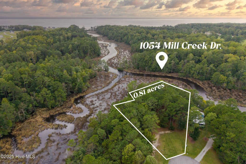 Photo of 1054 Mill Creek Drive, Minnesott Beach, NC 28510 (MLS # 100534266)