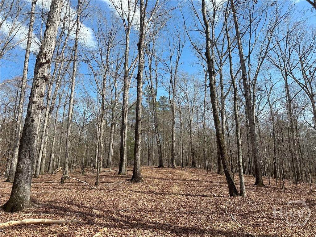 1181 OLD BARNETT SHOALS Road