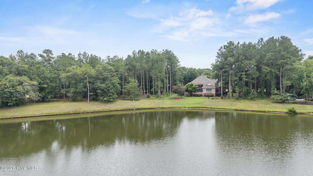 Photo of 205 Cedar Point Drive, Wallace, NC 28466 (MLS # 100588145)