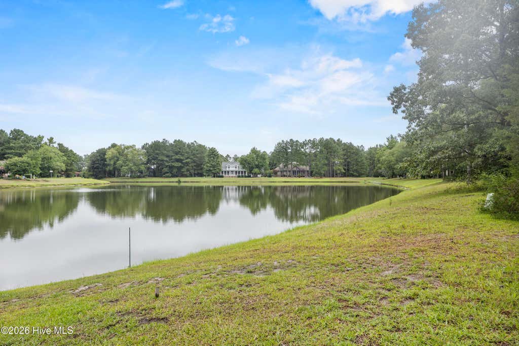 Photo of 205 Cedar Point Drive, Wallace, NC 28466 (MLS # 100588145)