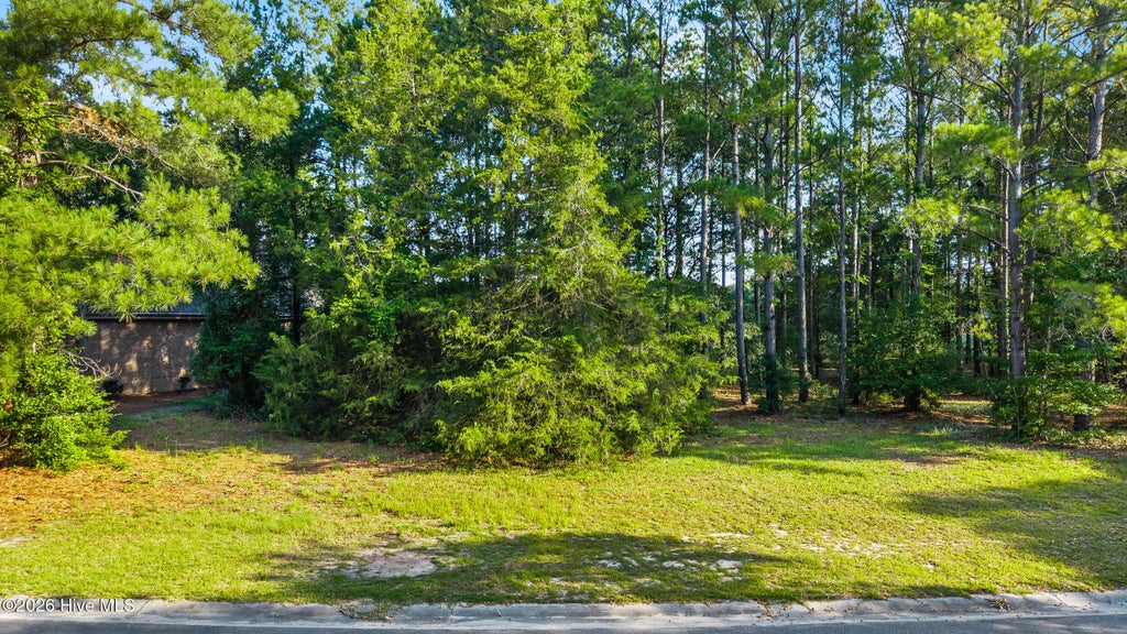 Photo of 205 Cedar Point Drive, Wallace, NC 28466 (MLS # 100588145)