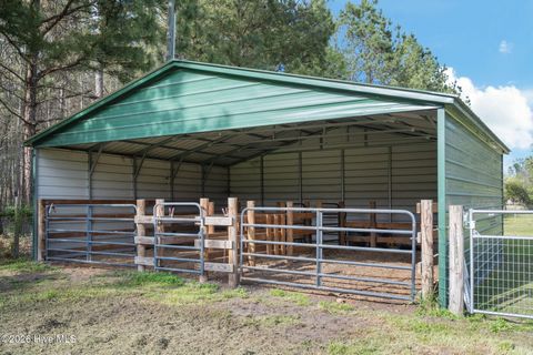 Tiny photo for 900 Haw Branch Road, Beulaville, NC 28518 (MLS # 100562947)