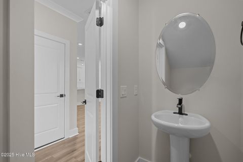 Tiny photo for 69 S Umbrella Palm Drive, Hampstead, NC 28443 (MLS # 100546392)