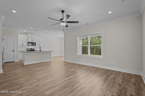 Tiny photo for 69 S Umbrella Palm Drive, Hampstead, NC 28443 (MLS # 100546392)