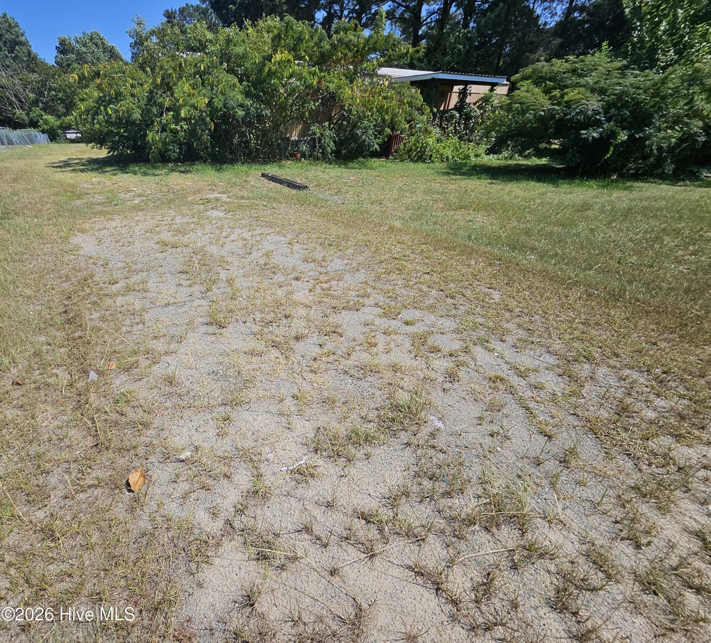 Photo of 341 Durham Lake Road, Dudley, NC 28333 (MLS # 100597172)