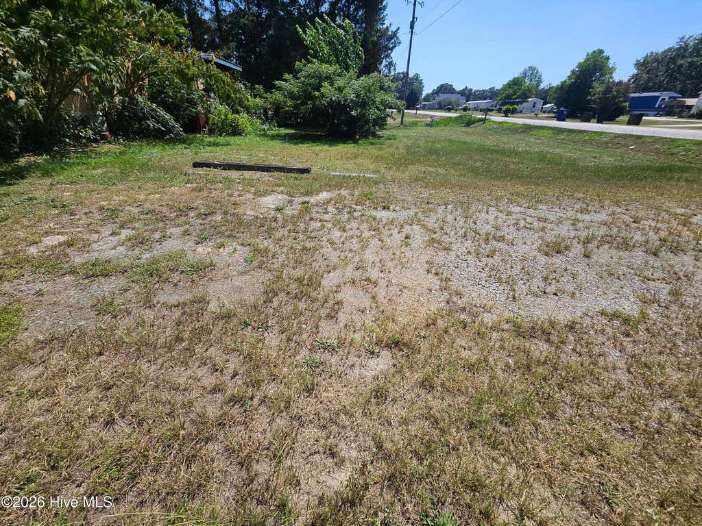 Photo of 341 Durham Lake Road, Dudley, NC 28333 (MLS # 100597172)