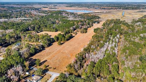 Photo of 580 Old Gress Island Road, Midway, GA 31320 (MLS # SA345567)