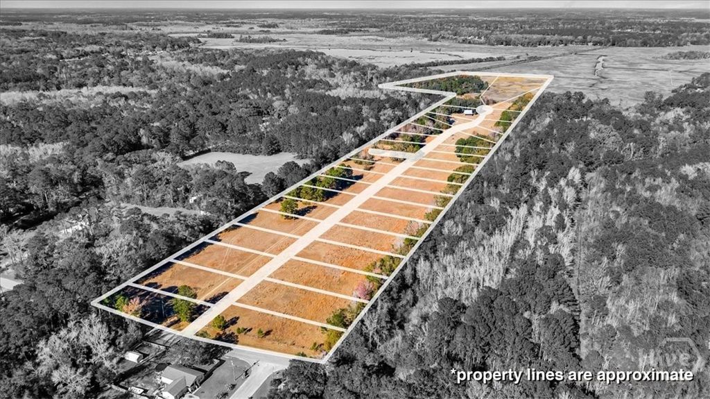 Photo of 580 Old Gress Island Road, Midway, GA 31320 (MLS # SA345567)