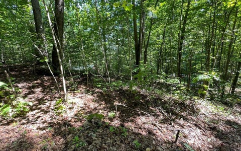 Vacant Land For Sale - LOT 8D Eagle Heights<br/> Hiawassee, GA 30546