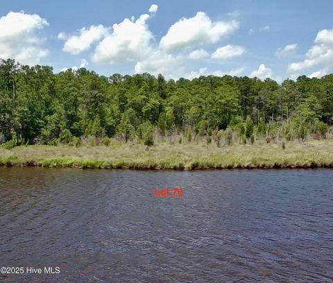 Vacant Land For Sale - LOT 70 Winfield Lane<br/> Belhaven, NC 27810