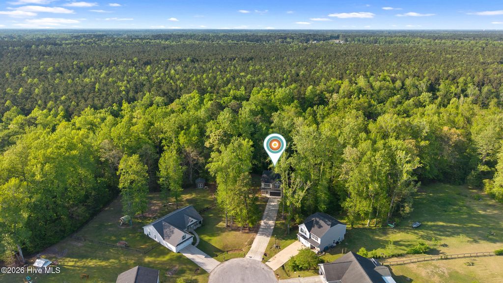 Photo of 186 Backfield Place, Jacksonville, NC 28540 (MLS # 100567487)