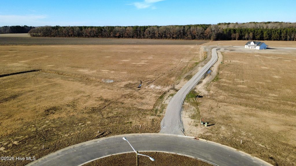 Photo of 2064 Harris Ridge Road, Winterville, NC 28590 (MLS # 100549259)